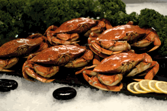 Dungeness Crab Special