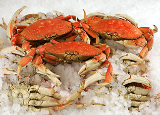 Fresh Whole Cooked Dungeness Crab Fresh Whole Cooked Dungeness Crab