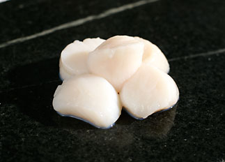 Alaskan Sea Scallops Alaskan Sea Scallops
