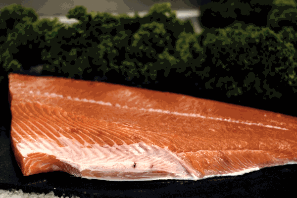 Wild King Salmon Fillet Special