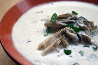 Oyster Stew